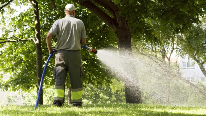 Bijna helft Nederlanders maakt zich zorgen over droogte