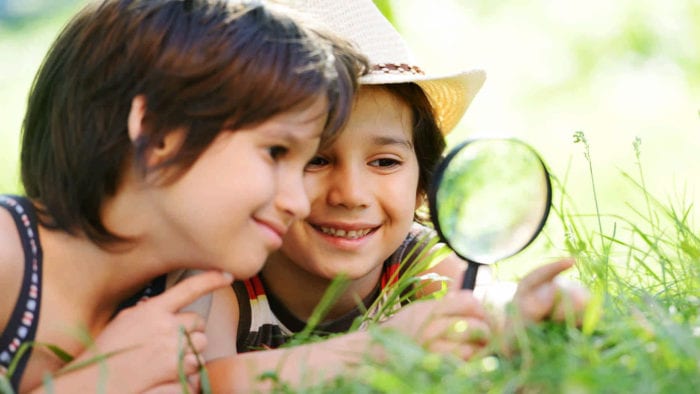 Specialist Jeugdwet 2