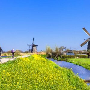 Opleiding-Bodem in de omgevingswet