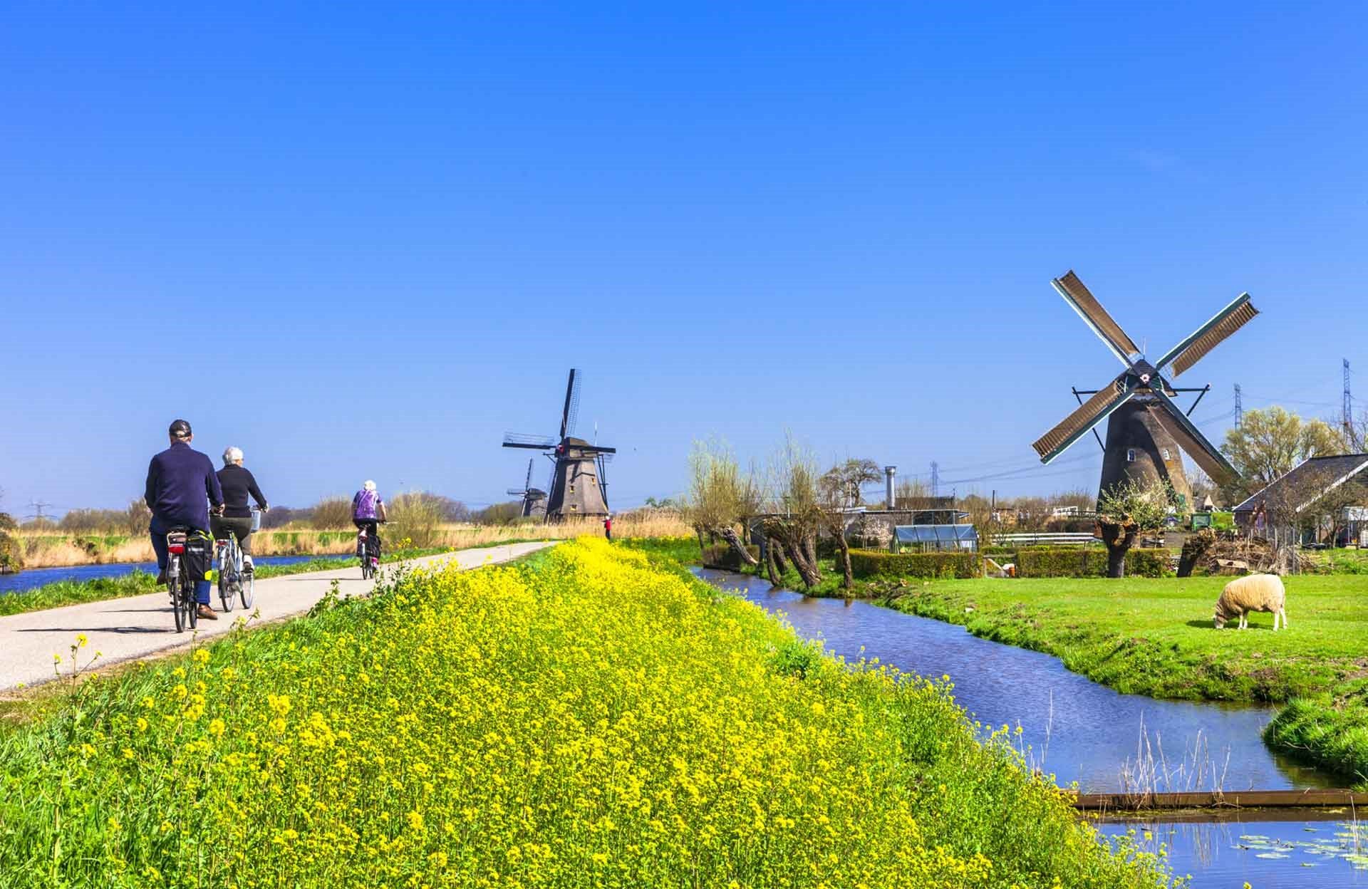 Opleiding-Bodem in de omgevingswet