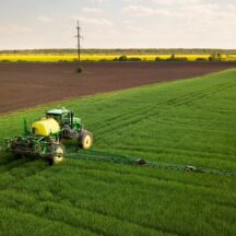 Thumbnail of post #326586