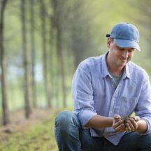 Thumbnail of post #338755