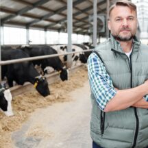 Thumbnail of post #326116