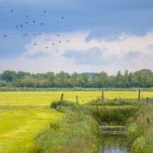 Thumbnail of post #338905