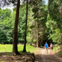 Thumbnail of post #338908