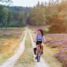 Thumbnail of post #338599