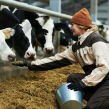 Thumbnail of post #326461