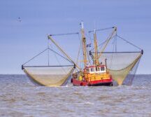 Thumbnail of post #339029