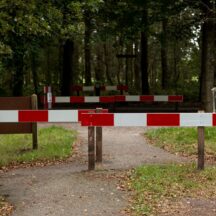 Thumbnail of post #326089