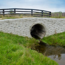 Thumbnail of post #325746