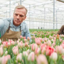 Thumbnail of post #326212