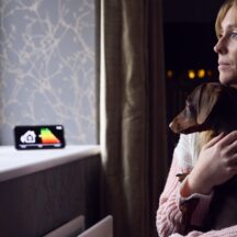 Thumbnail of post #338673