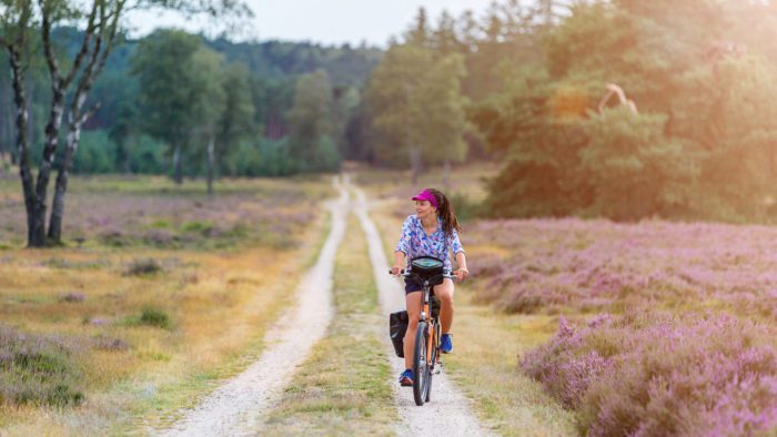 Hoe ‘regel’ je biodiversiteit?