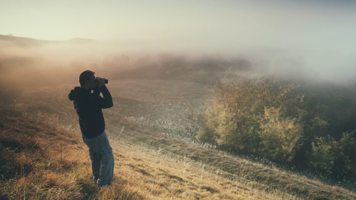 Hoe ‘regel’ je biodiversiteit?