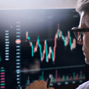 Opleiding Bitcoin en andere Cryptovaluta in relatie tot bijstand