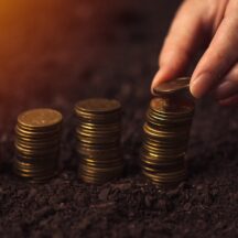 Thumbnail of post #339393