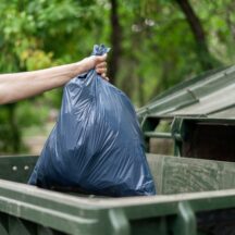 Thumbnail of post #325320