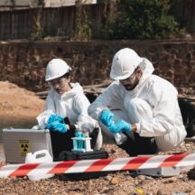 Thumbnail of post #339318