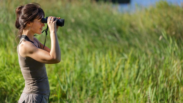 Natuurbescherming onder de Omgevingswet